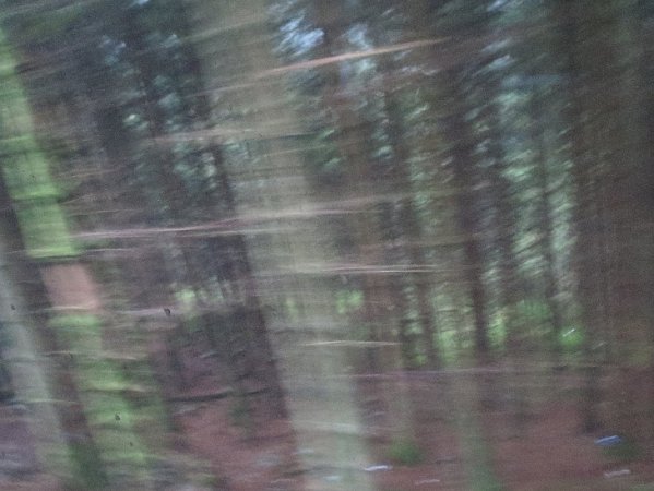 2013_Norwegen_IMG_1011 (328)